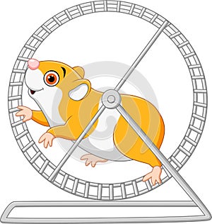 Cute hamster running in roling wheel