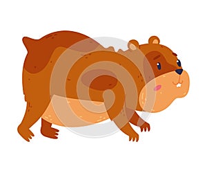 Cute hamster, side view of funny brown rodent pet animal cartoon vector illustration