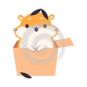 Cute Hamster Sitting in Cardboard Box, Adorable Funny Pet Animal Character Cartoon Vector Illustration