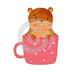 Cute hamster sitting in cup, funny brown rodent pet animal cartoon vector illustration