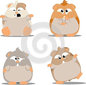 Cute hamsters