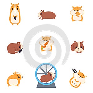 Cute Hamsters Set, Adorable Funny Red Pet Animals Cartoon Vector Illustration