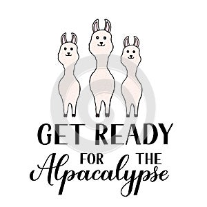 Cute hand drawn alpacas with and calligraphy lettering Get ready for the alpacalypse. Funny cartoon character fluffy llama. Vector