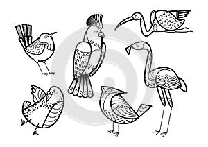 Cute hand drawn birds set coloring page vector