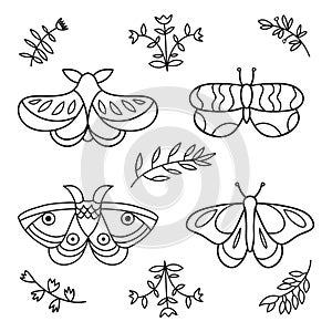 Cute hand drawn butterflies. Flower butterflies, moth wings and spring colorful flying insects. Butterfly flying