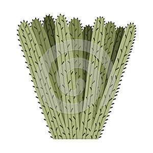 Cute hand drawn cactus from Mexico or Wild West desert. Vector simple cacti flower with thorns in cartoon style. Mexican