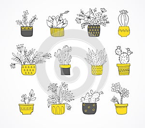 Cute hand drawn cactus set