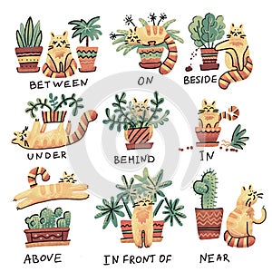 Cute hand drawn cat character in different poses with plant pot. Prepositions of place English. Studying of foreign language