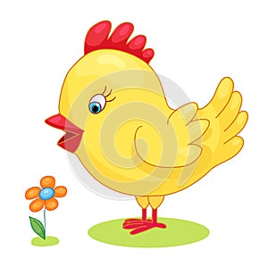 Cute hand drawn chick chicken yellow kids cartoon vector illustration on white background. Baby shower isolated