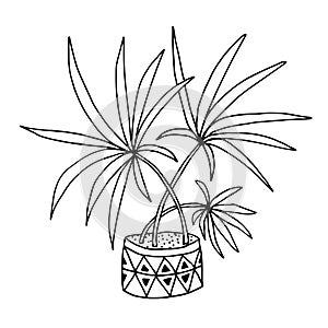 Cute hand drawn flower plant in pot. Doodle vector illustration.