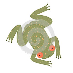 Cute hand drawn frog vector illustration