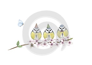 Cute hand drawn illustration of three blue tits with birthday party hat and bow tie, on branch with pink blossom, bumblebee and bu