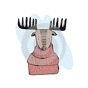 Cute hand drawn illustration of winter moose