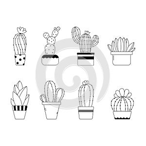 Cute hand drawn line cactus in the pots