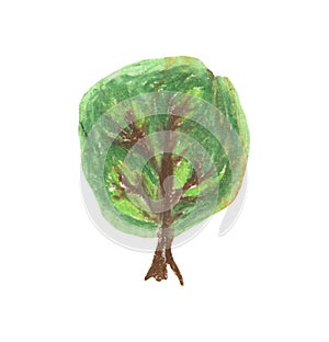 Cute hand drawn oil pastel textured green oak tree