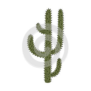 Cute hand drawn saguaro cactus from Mexico or Wild West desert. Vector simple cacti flower with thorns in cartoon style