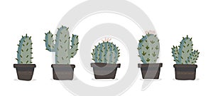 Cute hand drawn vector cactuse in the pots set. Vector