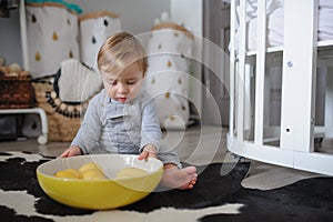 Cute happy baby boy eating cookies at home and playing with plate of lemons. Lifestyle indoor capture