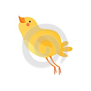 Cute happy baby chicken, funny cartoon bird character vector Illustration on a white background