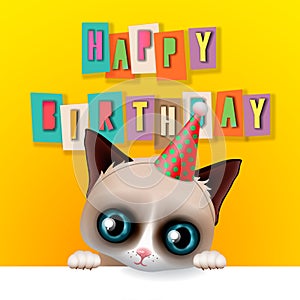 Cute happy birthday card with fun grumpy cat