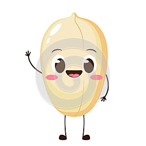 Cute happy cartoon peanut character