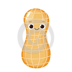 Cute happy cartoon peanut character