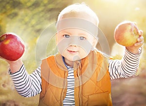 Cute, happy child (baby boy) with two red organic apples in the sunny autumn (fall) day.