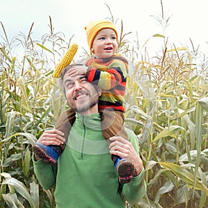 Cute happy child in colorful sweater sitting on his father shoulders with ripe corn cob on yellow autumn corn field. Fall season