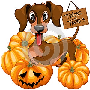 Halloween Dachshund Tricks or Treats Cute Cartoon Character Vector Illustration photo