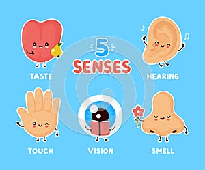 Cute happy five human senses