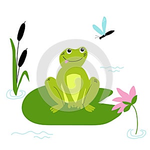 Cute happy frog and dragonfly with lilies and reeds on the pond. Vector children illustration.