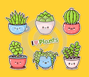 Cute happy funny succulents plants set collection