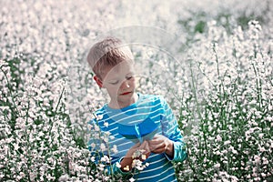 Cute and happy little boy playing with paper airplane on blosso