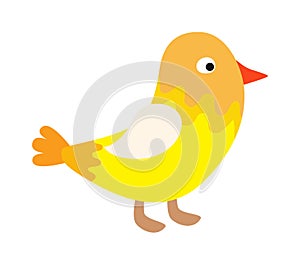 Cute happy little yellow bird easter chick with wings outstretched vector.