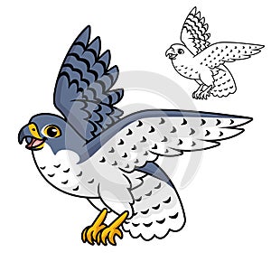 Cute Happy Peregrine Falcon Flying with Line Art Drawing