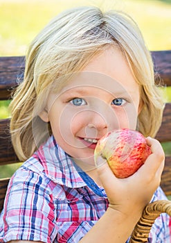 Cute happy school child eating an apple