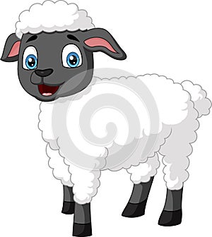 Cute happy sheep cartoon isolated on white background