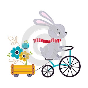 Cute Hare Biking or Cycling Riding Bicycle Pulling Trolley with Flowers Vector Illustration