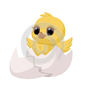Cute hatched chick. A newborn chick in a cracked egg. Vector cartoon illustration for Easter and more. Isolated on white