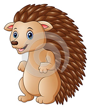 Cute hedgehog cartoon photo