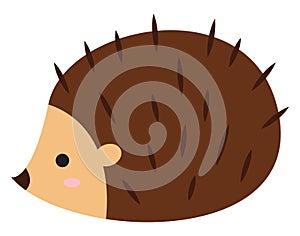 Cute hedgehog, illustration, vector