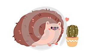 Cute hedgehog in love with cactus. Funny animal alike, similar to plant with needles. Happy adorable kawaii comic forest