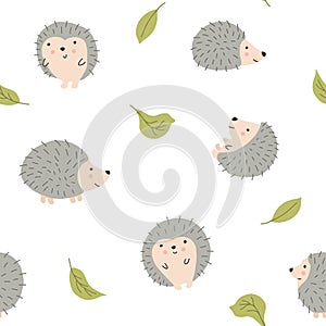 Cute Hedgehog Seamless Pattern, Cartoon animal background vector Illustration