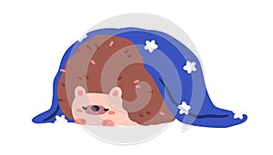 Cute hedgehog sleeping. Funny kawaii animal asleep, dreaming, slumbering, covered with blanket. Baby character relaxing