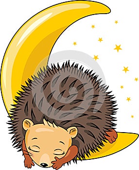Cute hedgehog sleeping on the moon