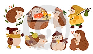 Cute hedgehogs. Funny spiny mammals. Cartoon forest animals with autumn mushrooms and fruits basket. Wildlife adorable