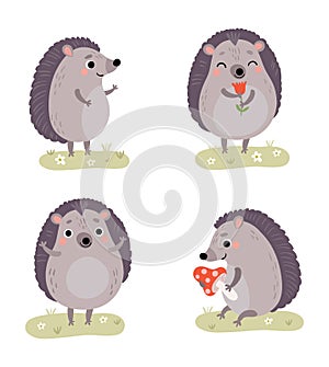 Cute hedgehogs. Vector characters set