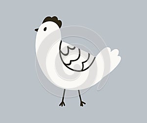 Cute hen walking, Scandinavian doodle style. Adorable funny chicken, farm bird. Feathered poultry. Scandi childish kids photo