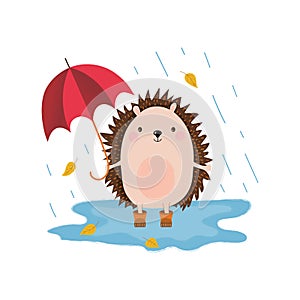 Cute hengehog with umbrella in the autumn rain. 