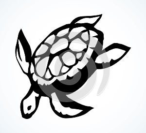 Sea turtle. Vector drawing icon